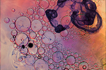 A single-cell atlas enables mapping of homeostatic cellular shifts in the adult human breast